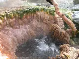 Algae and silica at Waimangu 