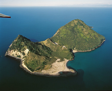 moutohora island