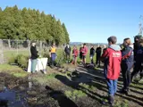 Volunteers from Te Puke High School help restore wetland