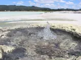 Primary fluid pool, Rotorua System