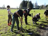 planting day