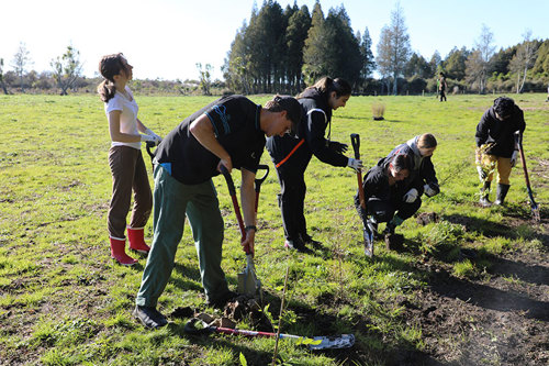 planting day