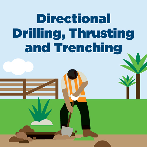 bylaws drilling