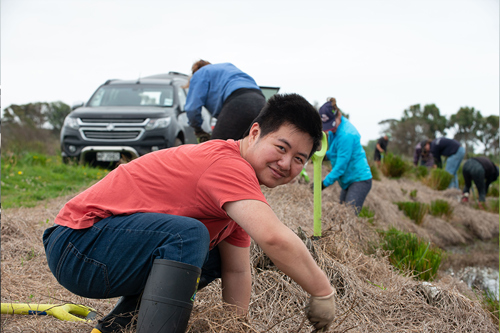 volunteers planting