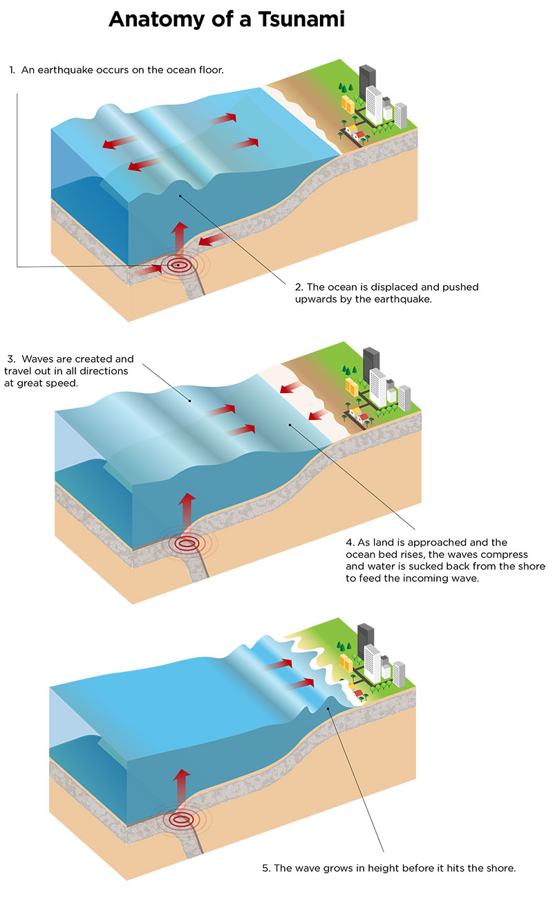 anatomy of a tsunami diagram