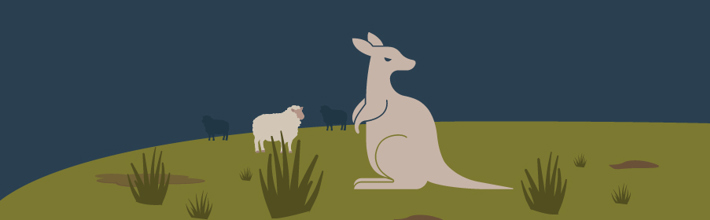wallaby graphic