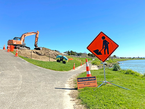 removal of yacht club trees