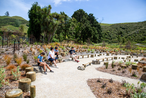 papamoa hills upgrade