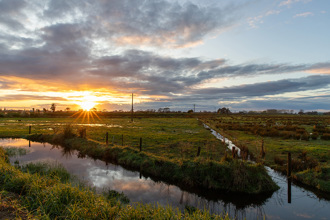 sunrise over wetland