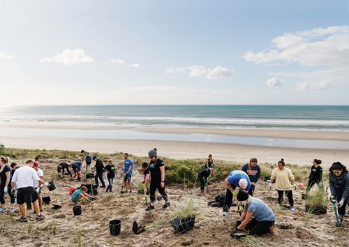 Coast Care planting