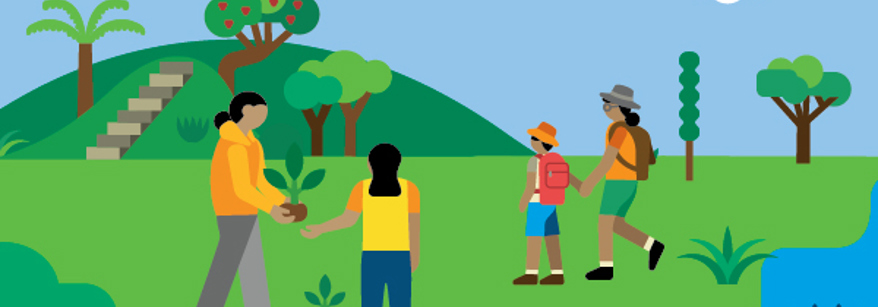 illustration of people planting