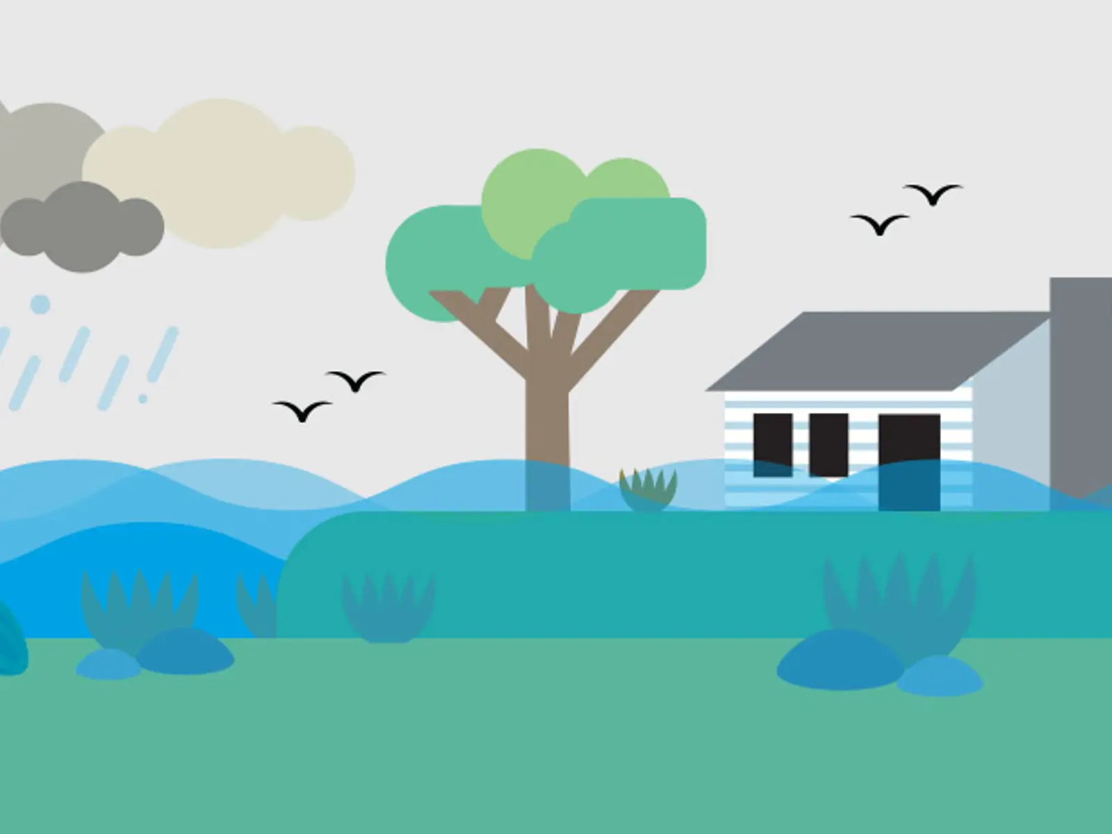Natural hazards
